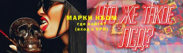 хмурый Алзамай