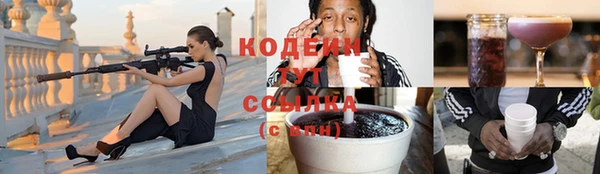 хмурый Алзамай