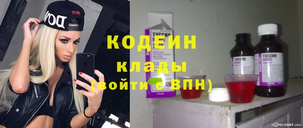 хмурый Алзамай