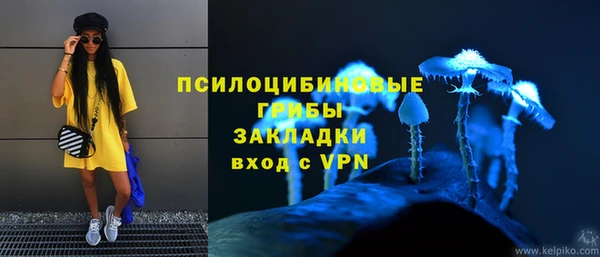хмурый Алзамай
