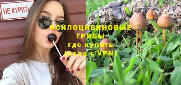 хмурый Алзамай
