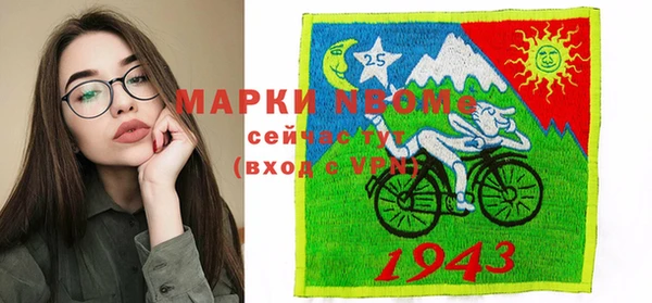 хмурый Алзамай